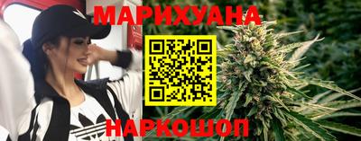 стаф Гатчина