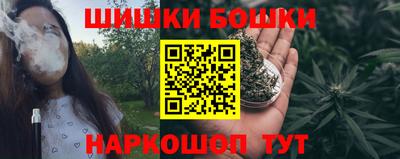 стаф Гатчина