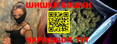 стаф Гатчина