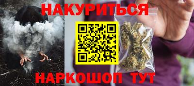 стаф Гатчина