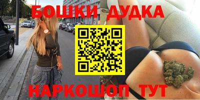 стаф Гатчина