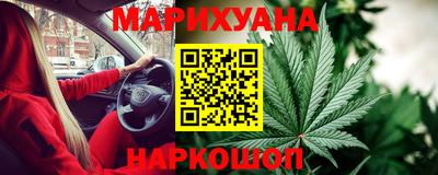 стаф Гатчина