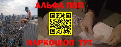 стаф Гатчина
