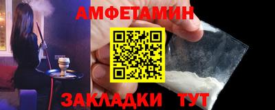 стаф Гатчина