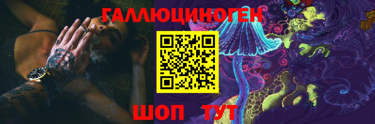 Галлюциногенные грибы GOLDEN TEACHER  Вход с VPN  Междуреченск  Галлюциногенные грибы Psilocybine cubensis 