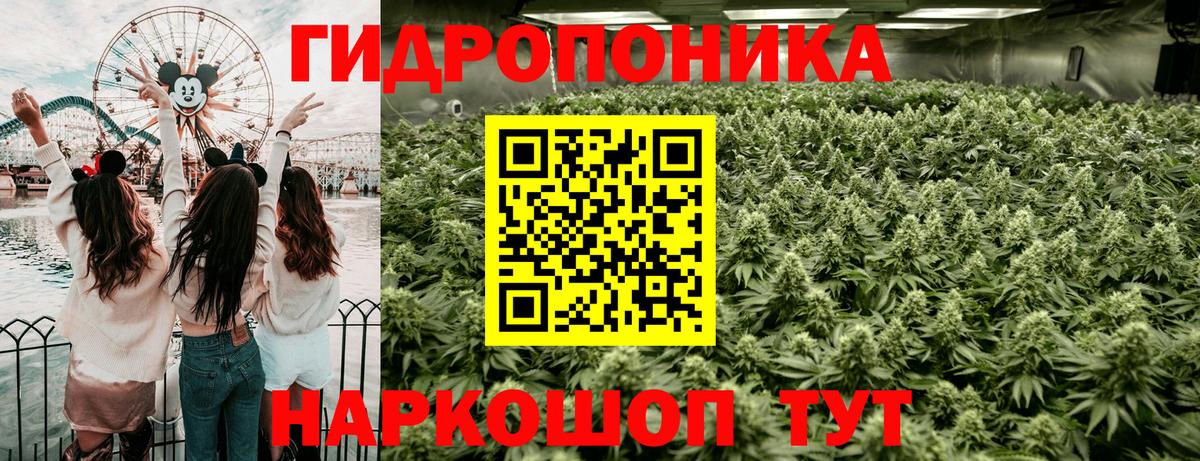 Бошки марихуана OG Kush  Вход с VPN  Каннабис SATIVA & INDICA  МАРИХУАНА индика  Междуреченск 